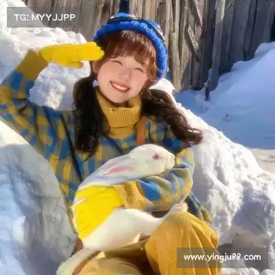 丁震